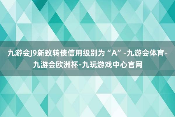 九游会J9新致转债信用级别为“A”-九游会体育-九游会欧洲杯-九玩游戏中心官网